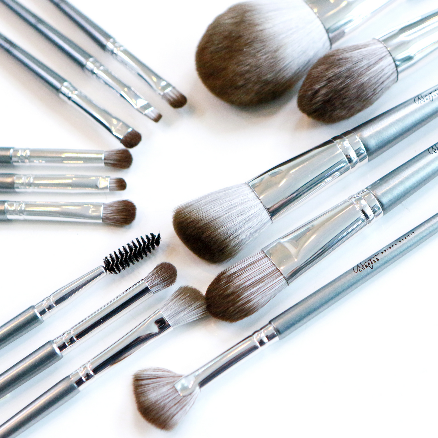 Alayne Curtiss Platinum Makeup Brush Set